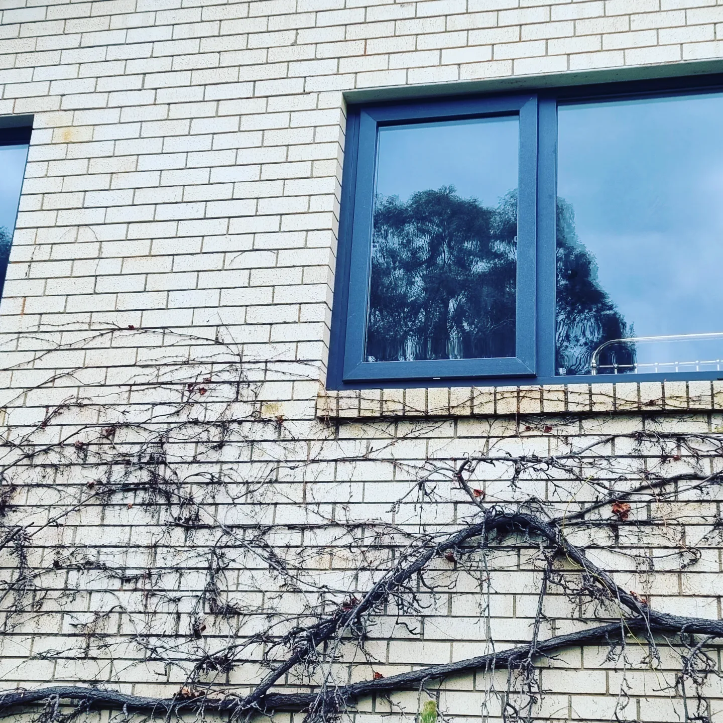 1bbcb0_169a02db547b4ac49499f6fc55a52f75~mv2