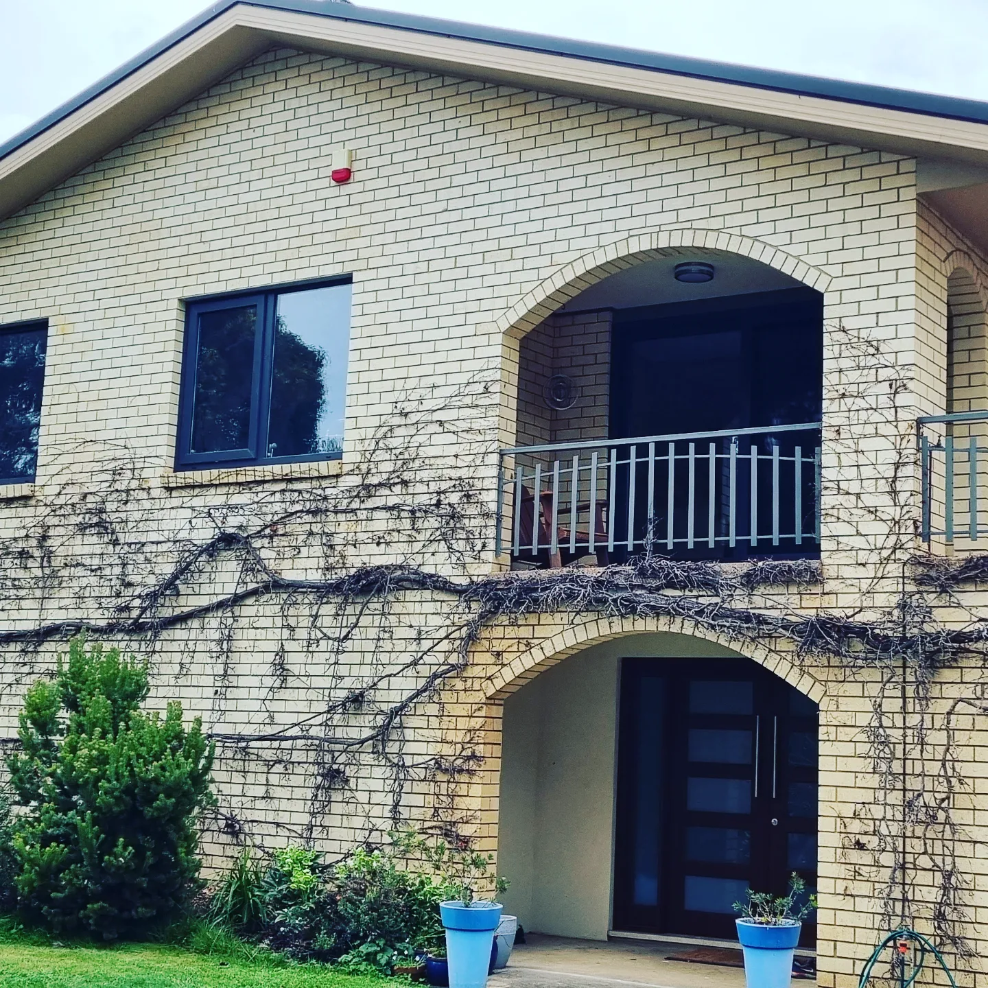 1bbcb0_d45155e7a4794bdd97c7986ca80ca845~mv2